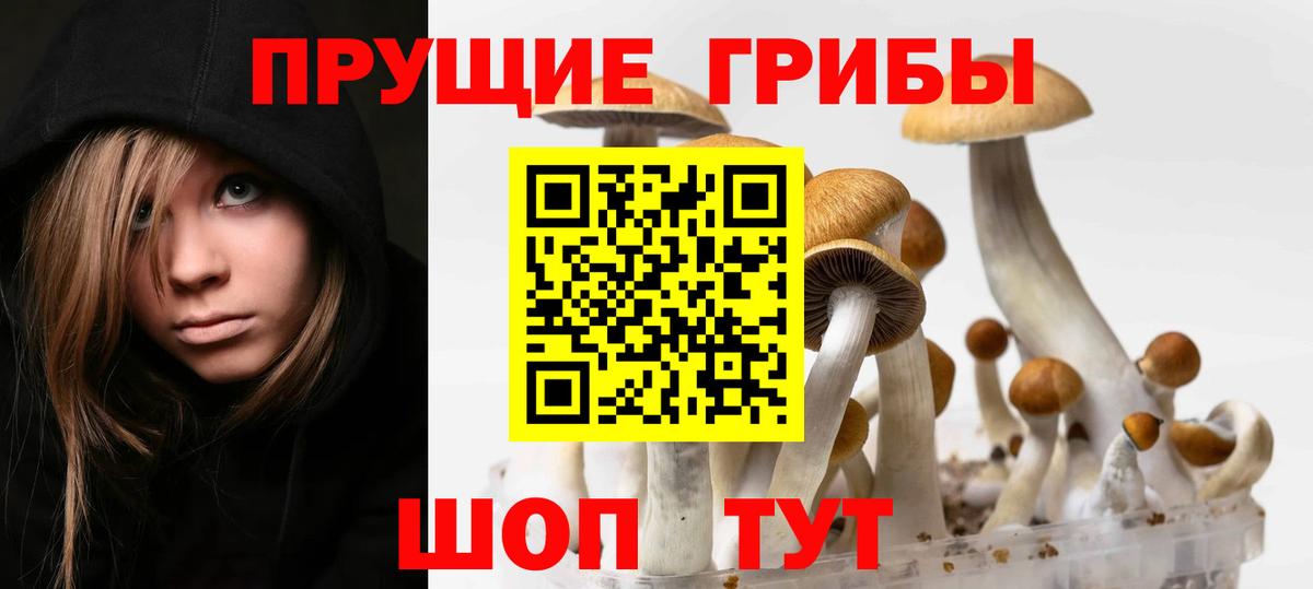сколько стоит  Псилоцибиновые грибы мицелий  Нерюнгри  Вход с VPN  Галлюциногенные грибы Magic Shrooms 